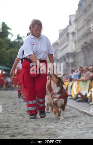 Wien, Österreich. Juni 16, 2007. Tierschutztage in Wien am Rathausplatz. Rettungshund der Samariter-Vereinigung. Stockfoto