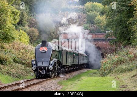 BR 'A4' 4-6-2 No. 60009 'Union of South Africa' nähert sich dem Standort der West Hoathley Station auf der Bluebell Railway Stockfoto