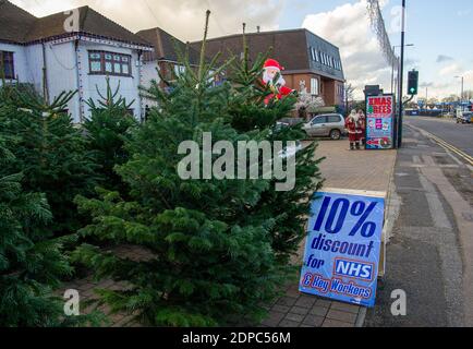 Slough, Berkshire, Großbritannien. Dezember 2020. Weihnachtsbäume zum Verkauf in Slough bringen etwas Heiterkeit zu einem düsteren Dezember. Nach dem Ende der Sperre in England letzte Woche wurde Slough in Covid-19 Tier 3 platziert, was die höchstmöglichen Beschränkungen bedeutet, die Haushalte daran hindert, drinnen sowie in Pubs und Restaurants zu mischen. Slough hat die 14. Höchste Covid-19-Infektionsrate in England. Quelle: Maureen McLean/Alamy Stockfoto