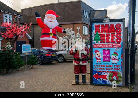 Slough, Berkshire, Großbritannien. Dezember 2020. Weihnachtsbäume zum Verkauf in Slough bringen etwas Heiterkeit zu einem düsteren Dezember. Nach dem Ende der Sperre in England letzte Woche wurde Slough in Covid-19 Tier 3 platziert, was die höchstmöglichen Beschränkungen bedeutet, die Haushalte daran hindert, drinnen sowie in Pubs und Restaurants zu mischen. Slough hat die 14. Höchste Covid-19-Infektionsrate in England. Quelle: Maureen McLean/Alamy Stockfoto