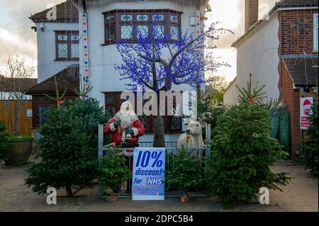 Slough, Berkshire, Großbritannien. Dezember 2020. Weihnachtsbäume zum Verkauf in Slough bringen etwas Heiterkeit zu einem düsteren Dezember. Nach dem Ende der Sperre in England letzte Woche wurde Slough in Covid-19 Tier 3 platziert, was die höchstmöglichen Beschränkungen bedeutet, die Haushalte daran hindert, drinnen sowie in Pubs und Restaurants zu mischen. Slough hat die 14. Höchste Covid-19-Infektionsrate in England. Quelle: Maureen McLean/Alamy Stockfoto