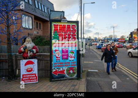 Slough, Berkshire, Großbritannien. Dezember 2020. Weihnachtsbäume zum Verkauf in Slough bringen etwas Heiterkeit zu einem düsteren Dezember. Nach dem Ende der Sperre in England letzte Woche wurde Slough in Covid-19 Tier 3 platziert, was die höchstmöglichen Beschränkungen bedeutet, die Haushalte daran hindert, drinnen sowie in Pubs und Restaurants zu mischen. Slough hat die 14. Höchste Covid-19-Infektionsrate in England. Quelle: Maureen McLean/Alamy Stockfoto