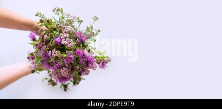 Wilde lila Blumen in Womans Hand auf grauem Hintergrund. Sommerstrauß. Leerzeichen für Text. Stockfoto