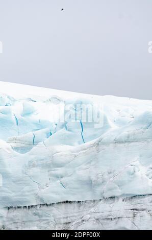 Glaziale tiefblaue Wasser der Antarktis kann auf gesehen werden Der Punkt der Halbinsel nach einem dreitägigen Ausflug Über die Drake Passage Stockfoto