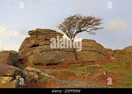 Ansicht der Felsbestände am Saddle Tor Dartmoor Devon UK Stockfoto