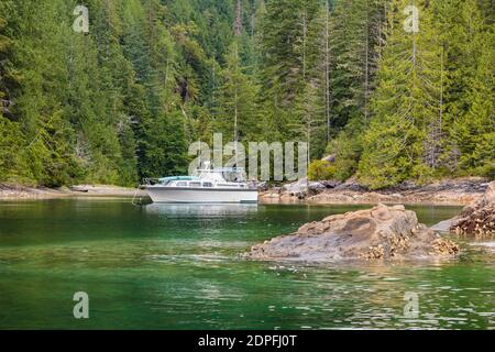 Ein Ausflugsboot ist in einer ruhigen Bucht an der Küste von British Columbia verankert, mit einem felsigen Riff im Vordergrund und dichtem Wald im Hintergrund. Stockfoto