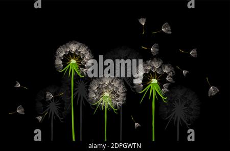 Grußkarte mit zarten Löwenzahn. Vektorgrafik Stock Vektor
