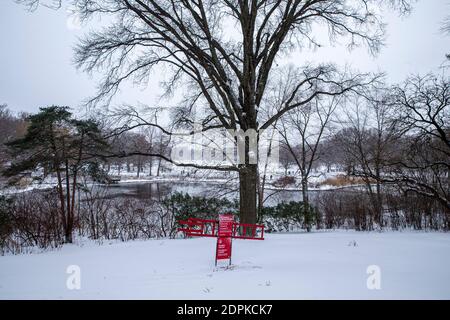 Schneebedeckte Wege und Bäume sind im Central Park zu sehen In der Nähe des Great Lawn Stockfoto