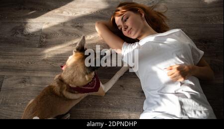 Oben treuer Hund, der auf dem Boden neben Frau und liegt Bitten, zu spielen, während Sie sich zu Hause zusammen ausruhen Stockfoto