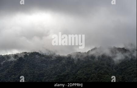 Dramatische Luftlandschaft des Nebelwaldes in Nebel und Nebel, Mindo, Ecuador. Stockfoto