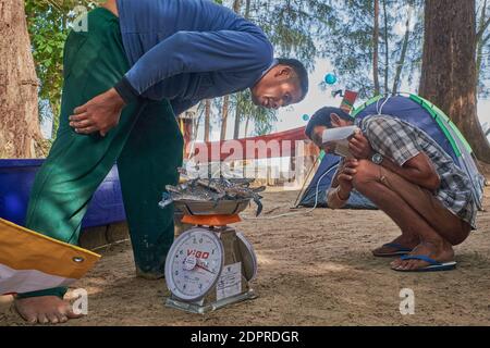 Am Mai Khao Beach, Phuket, Thailand, wiegen ein Fischer (l) und Interessent frisch gefangene Krebse Stockfoto