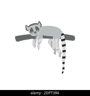 Ringschwanz-Lemur. Isolierter wilder Affe mit langem gestreiftem Schwanz. Cute Primate Säugetier Cartoon Charakter-Symbol. Stock Vektor