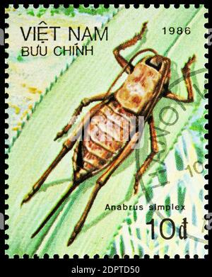 MOSKAU, RUSSLAND - 10. NOVEMBER 2018: Eine Briefmarke, gedruckt in zeigt Mormon Cricket (Anabrus simplex), Insektenserie, um 1987 Stockfoto