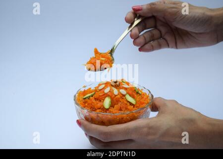 Indische Süßspeise Dessert Küche Gajar ka halwa in Schüssel mit Löffel serviert. Weißer Hintergrund gi Stockfoto