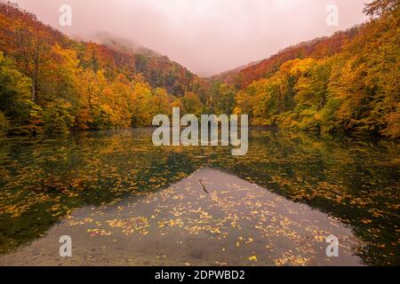 Schöner, bunter Herbstsee. Erstaunliche Wasserspiegelung, friedliche Naturlandschaft. Gelb-orange Blätter, nebeliges Morgenlicht. Entspannen Sie sich im Herbst Stockfoto