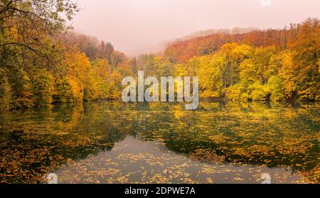 Schöner, bunter Herbstsee. Erstaunliche Wasserspiegelung, friedliche Naturlandschaft. Gelb-orange Blätter, nebeliges Morgenlicht. Entspannen Sie sich im Herbst Stockfoto
