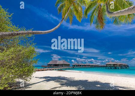 Malediven Insel Strand. Tropische Landschaft der Sommerlandschaft, weißer Sand mit Palmen. Luxus Reise Urlaubsziel. Exotische Strandlandschaft Stockfoto