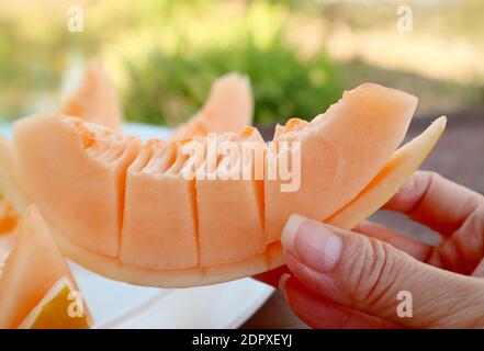 Nahaufnahme Frau Hand Kommissionierung ein Stück frische Cantaloupe Melon Mit Blurry Garden im Hintergrund Stockfoto