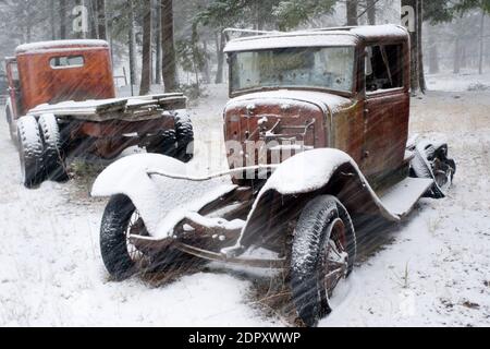 Ein rostiger 1932 Modell B Ford Farmtruck im Schneesturm, auf einer Pferderanch in Valley of the Moon, Rock Creek, Montana. Stockfoto