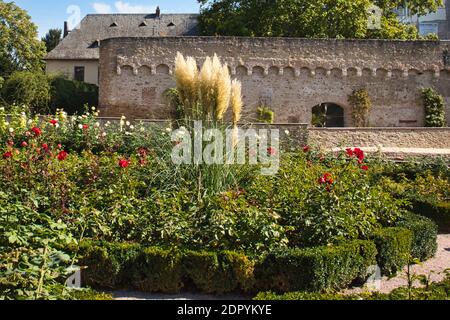 Blumengarten am Schloss in Eltville, Deutschland Stockfoto
