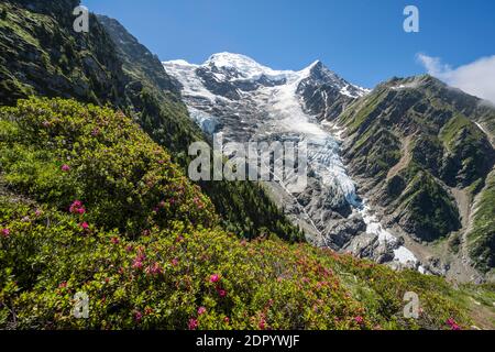 Berglandschaft, Blick auf den Gletscher Glacier de Taconnaz, Wandern La Jonction, Chamonix, Haute-Savoie, Frankreich Stockfoto