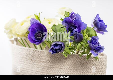 Persisch weiß gelbe Butterblumen und blaue Anemone in beige Korbkorb auf weißem Hintergrund Stockfoto