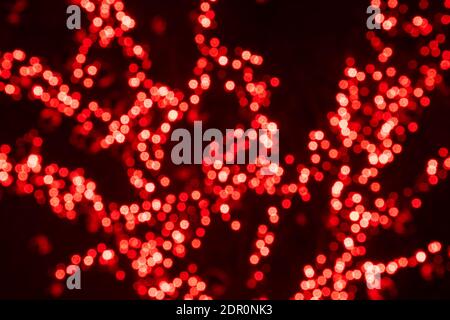 Abstrakter Hintergrund rote Bokeh Lichter, Zweige eines Baumes im Winter, warmes Gefühl, Wärme, Feier, Zaubertraum, frohe Weihnachten und Neujahr Stockfoto