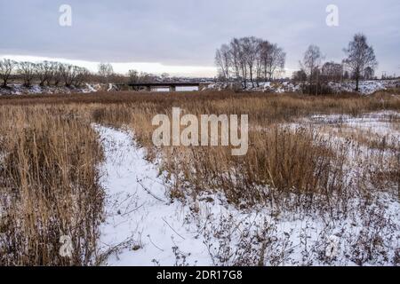 Das Ufer des Flusses Uwod bedeckt mit hohem trockenen Gras und Schilf in der Stadt Iwanowo an einem bewölkten Herbsttag. Stockfoto