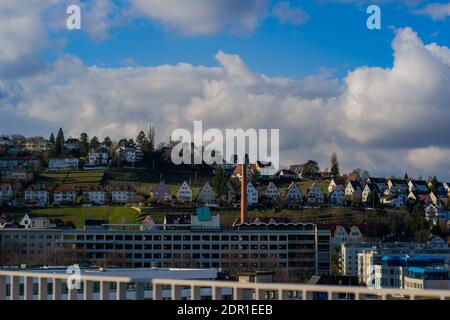 7. März 2020, Stuttgart, Deutschland - Mönchhalde, Stadtteil Relenberg in Stuttgart, buntes Weinbaugebiet im Süden Deutschlands. Deutschland, Schlecht Stockfoto