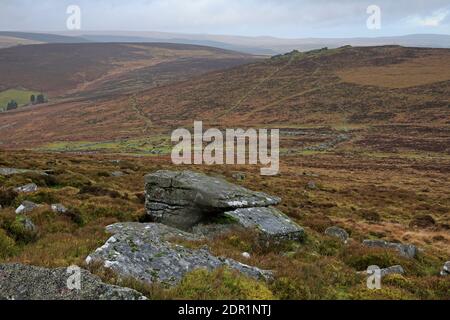 Blick auf die Steinmauer am Grimspound mit Hookney Tor Im Hintergrund Dartmoor Devon UK Stockfoto