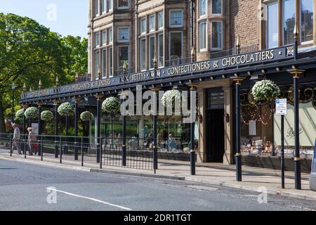 Blick auf die Fassade und Beschilderung des berühmten Betty's Teesaals, Cafés und Restaurants in Harrogate, North Yorkshire Stockfoto