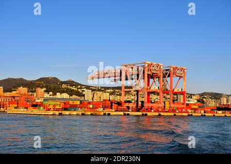 Große Kräne für den Containerumschlag im Hafenterminal Genua Italien Stockfoto