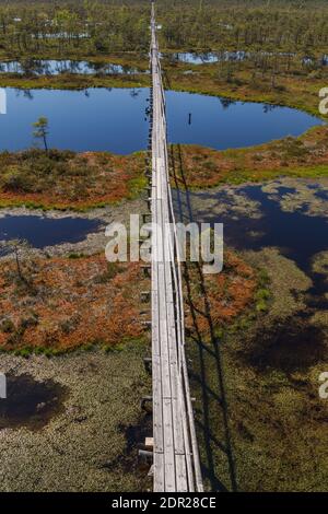 Wundervolle Aussicht auf Moorseen und Holzbrettwanderung durch Sumpfland. Besuchen Sie Estonia Concept. Stockfoto