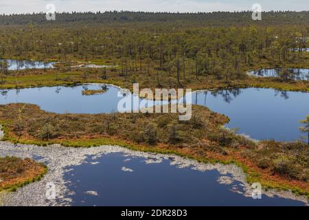 Wundervolle Aussicht auf Moorseen und Holzbrettwanderung durch Sumpfland. Besuchen Sie Estonia Concept. Stockfoto