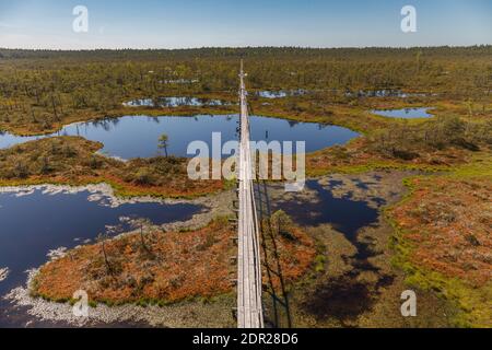 Wundervolle Aussicht auf Moorseen und Holzbrettwanderung durch Sumpfland. Besuchen Sie Estonia Concept. Stockfoto