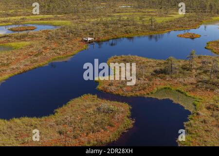 Wundervolle Aussicht auf Moorseen und Holzbrettwanderung durch Sumpfland. Besuchen Sie Estonia Concept. Stockfoto