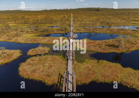 Wundervolle Aussicht auf Moorseen und Holzbrettwanderung durch Sumpfland. Besuchen Sie Estonia Concept. Stockfoto