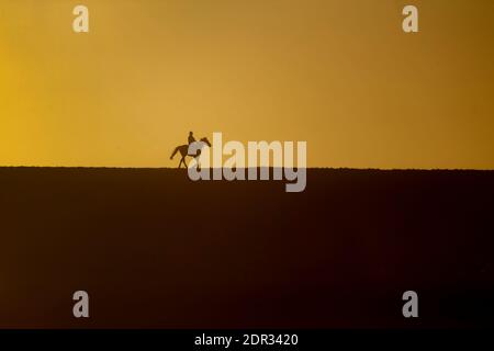 Newmarket, Großbritannien. Dezember 2020. Die Sonne geht an einem Dezembermorgen auf, als Rennpferde in Newmarket, Suffolk, auf den Galopp gestellt werden. Kredit: Headlinephoto/Alamy Live Nachrichten. Stockfoto