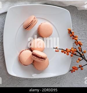 Aprikosen-Makronen auf einem weißen Teller, Blumen im Hintergrund Stockfoto