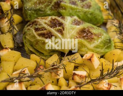 Fein gewürztes Lammfilet, eingewickelt in wirsing-Kohlblätter Stockfoto