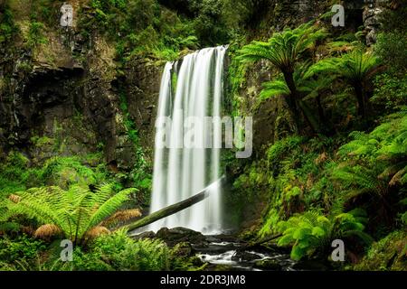 Malerische Hopetoun Falls im Great Otway National Park an der Great Ocean Road. Stockfoto