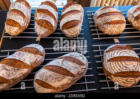 Brotbackworkshop mit Lutz Geisler und Manfred Schellin in Berlin, Deutschland Stockfoto