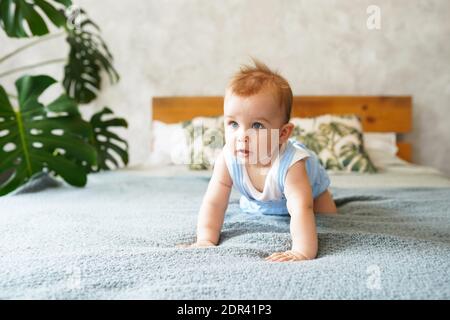Glücklich lachend Baby Junge kriechen auf grauem Bett, Baby Entwicklungsstadien von 3.5 Monate alt Stockfoto