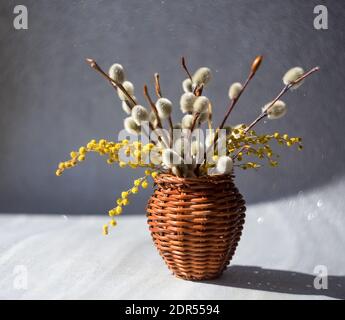Weiden und Mimosen Zweige in einer Weidenvase auf grau Unscharfer Bokeh-Unschärfe-Hintergrund Stockfoto