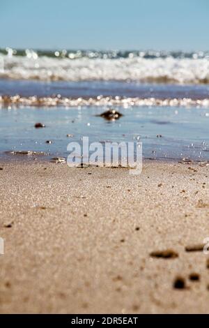 Low-Angle-Aufnahme des Strandes mit Blick auf Frinton mit geringer Schärfentiefe Fokus auf Sand. Walton on the Naze, Essex, Großbritannien Stockfoto