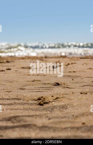 Low-Angle-Aufnahme des Strandes mit Blick auf Frinton mit geringer Schärfentiefe Fokus auf Sand. Walton on the Naze, Essex, Großbritannien Stockfoto
