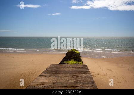 Groynes am Strand bei Flut. Walton on the Naze, Essex, Großbritannien Stockfoto