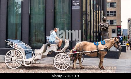 Pferdekutsche für Stadtrundfahrten in Old Montreal, Kanada Stockfoto