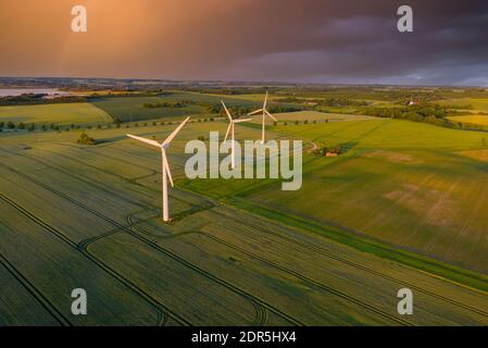 Windturbinen in einem landwirtschaftlichen Bereich in Dänemark Stockfoto