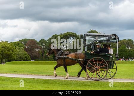 Pferde und Wagen im Killarney National Park, in der Nähe der Stadt Killarney, County Kerry, Irland Stockfoto